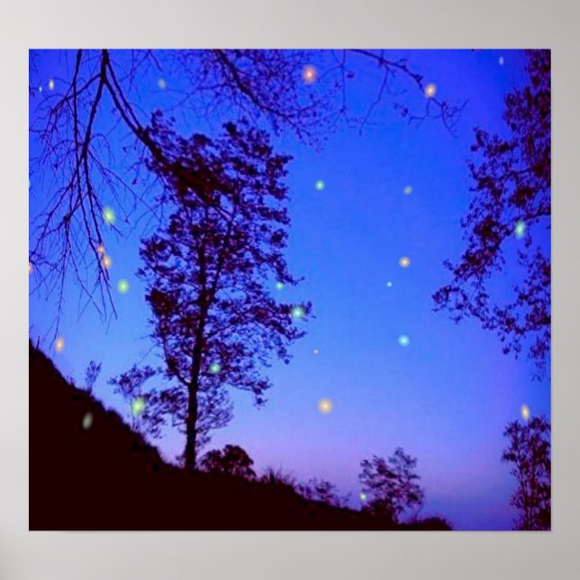 Enchanted Night  Poster (Front)