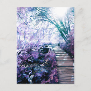 enchanted path postcard