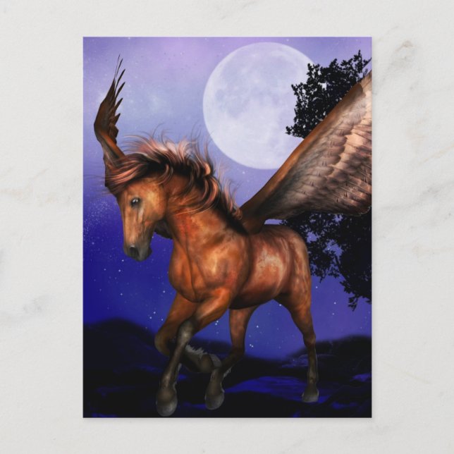Enchanted Pegasus  Postcard (Front)