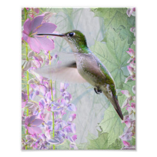 Enchanted Print