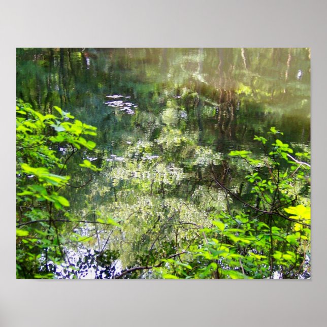 Enchanted Reflection Poster (Front)