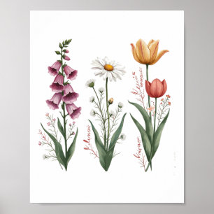 Enchanted Vintage Floral Plant Foxglove Daisy Tuli Poster