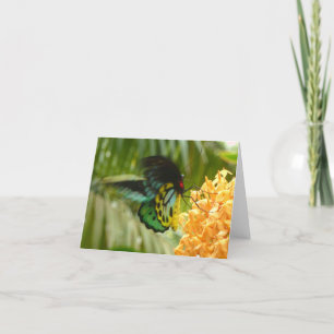 Enchanting Butterfly Card