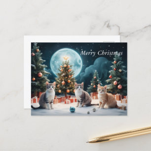 Enchanting Christmas Night with Kittens Postcard
