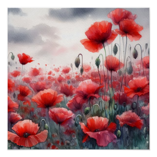 Enchanting Field of Poppies  Poster (Front)