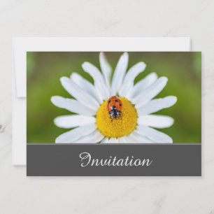 Enchanting Invitation Card with Ladybug