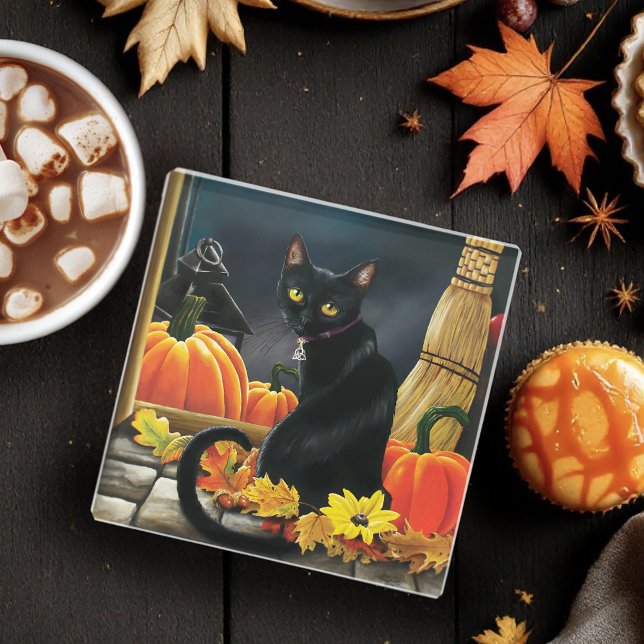 Enchanting Moonlit Black Autumn Cat Pumpkins Glass Coaster (Creator Uploaded)