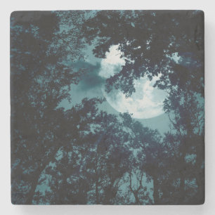 Enchanting Night Forest with Full Moon Stone Coaster