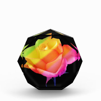 enchanting rose in the colors of the rainbow photo block