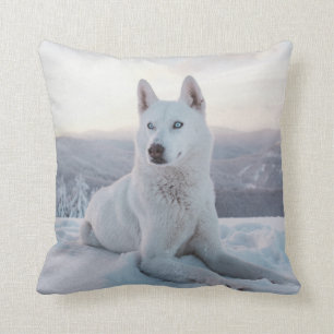 Enchanting White Husky Dog in the snow Cushion