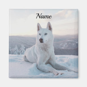 Enchanting White Husky Dog in the snow Magnet