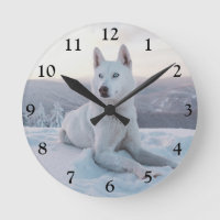 Enchanting White Husky Dog in the snow