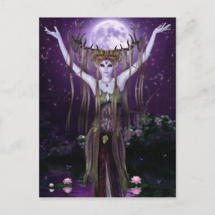 Enchantments of the Night Creatures Postcard