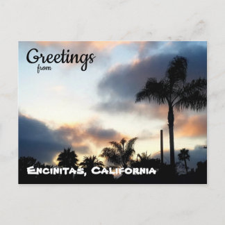 Encinitas California Palm Trees Sunset Postcard