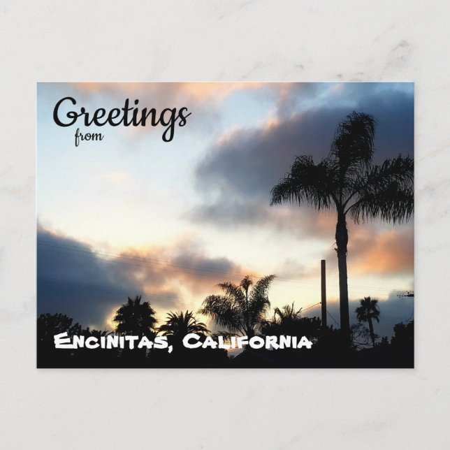 Encinitas California Palm Trees Sunset Postcard (Front)