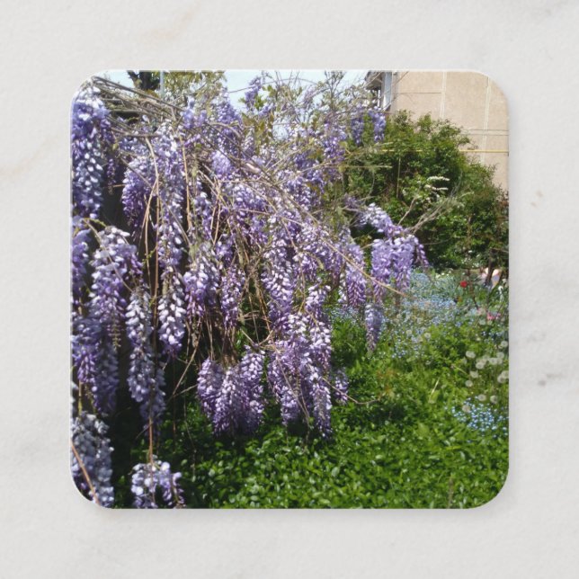 Enclosure Card Wisteria Violet Green (Front)