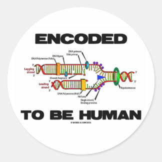Encoded To Be Human (DNA Replication) Classic Round Sticker