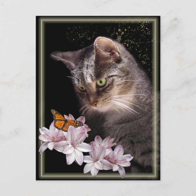 Encounter Postcard (Front)