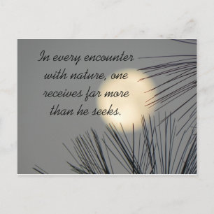 Encounters Nature Postcard
