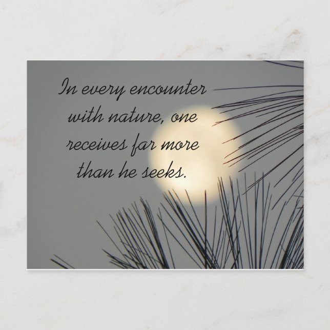 Encounters Nature Postcard (Front)