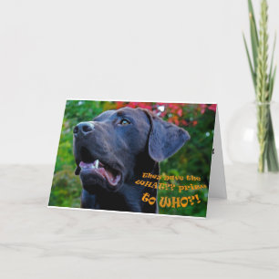 Encouragement Card