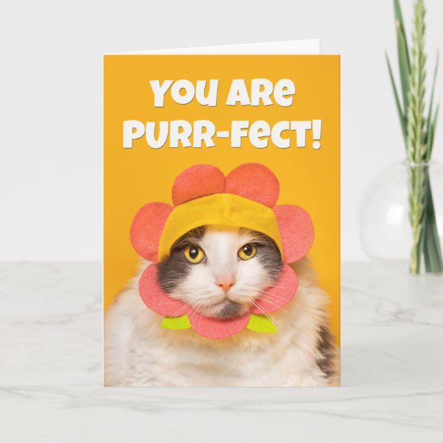 Encouragement Cute Cat in Flower Hat Humour  Holiday Card (Front)