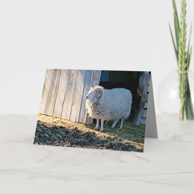 Encouragement, Cute Farm Scene in Sunlight Card (Front)