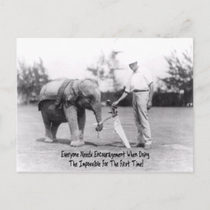 Encouragement - Elephant Playing Golf Postcard
