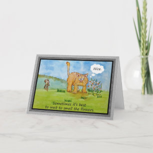 Encouragement Funny Humour Cat Dog You Can Do It C Card