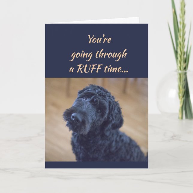 Encouragement/ Get Well Cute Black Curly Dog Pet Card (Front)