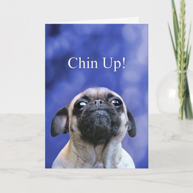 Encouragement Hang in There Chinn Up Pug Dog Card (Front)