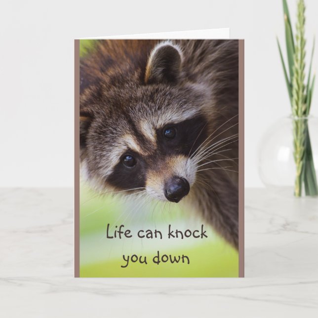 Encouragement Life can knock you down Racoon Card (Front)