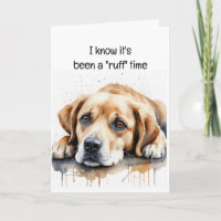 Encouragement or Get Well Cute Sad Dog