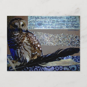 Encouragement Owl Postcard
