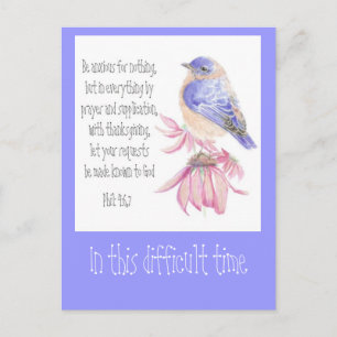Encouragement Scripture Bluebird Garden Bird Postcard