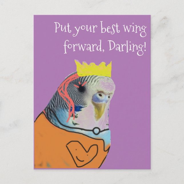 Encouraging fancy parakeet postcard (Front)