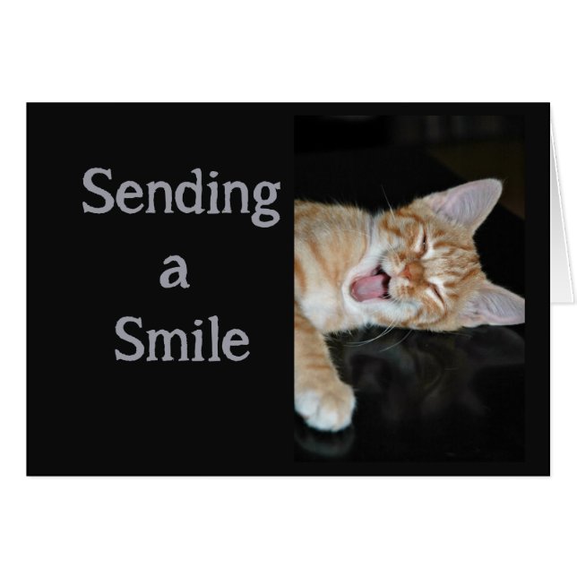 Encouraging Get Well Smiles Cute Smiling Cat (Front Horizontal)