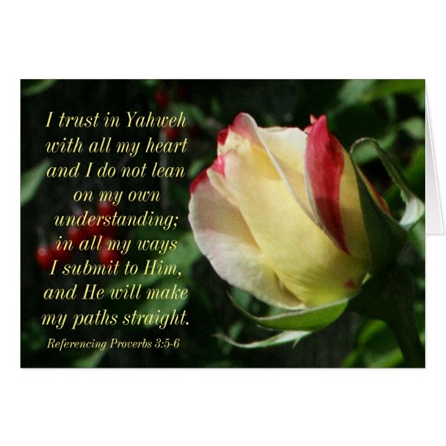 Encouraging Scripture Proverbs 3:4-6 (Front Horizontal)