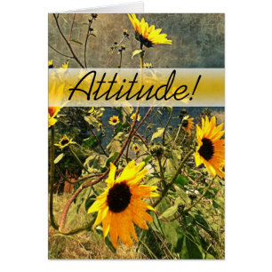 Encouragment Sunflowers Before The Storm Clouds