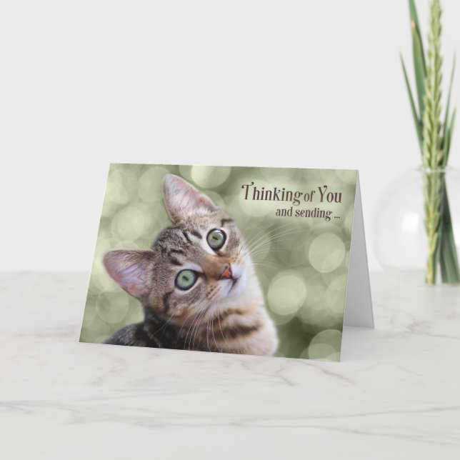 Encouragment Thinking of You Tabby Kitten Card (Front)