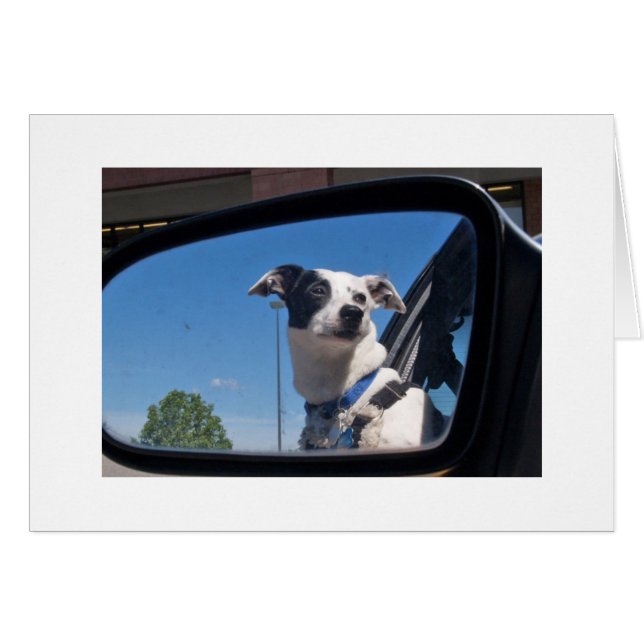 ENCOURGEMENT (Front Horizontal)