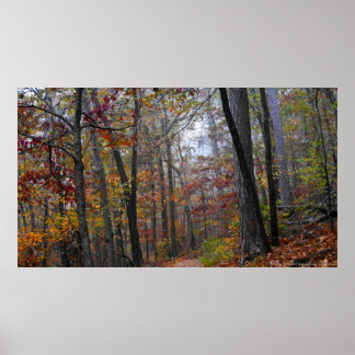 Encroaching Fog on the Autumn Forest Trail Poster