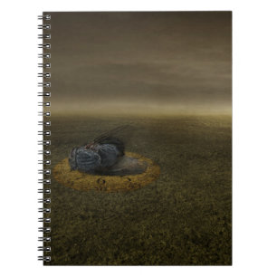 End of a goal 2013 notebook