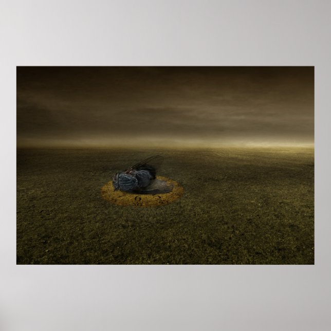 End of a goal 2013 poster (Front)