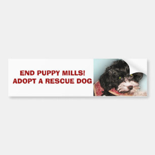 END PUPPY MILLS!  ADOPT A RESCUE... BUMPER STICKER