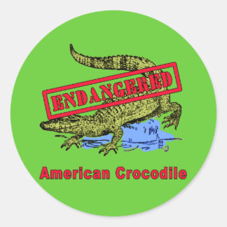 Endangered American Crocodile Products Classic Round Sticker