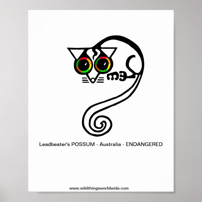 Endangered animal - Leadbeater's POSSUM -Australia Poster (Front)