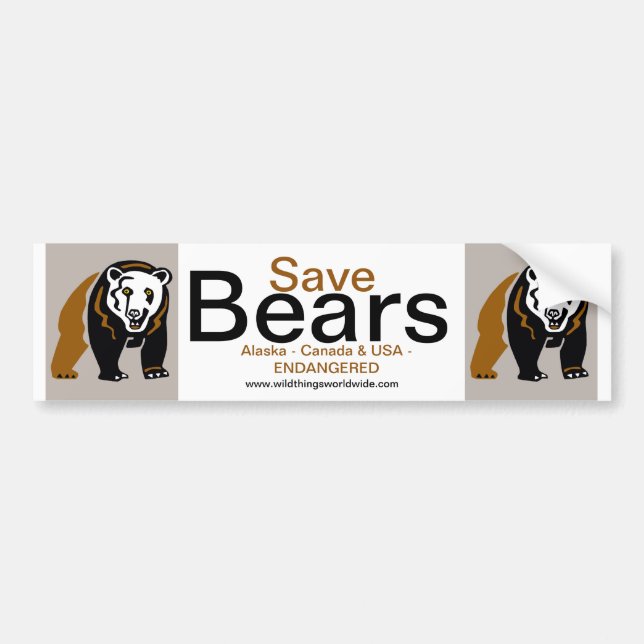 Endangered animal -  Save BEARS -Ecology Bumper Sticker (Front)