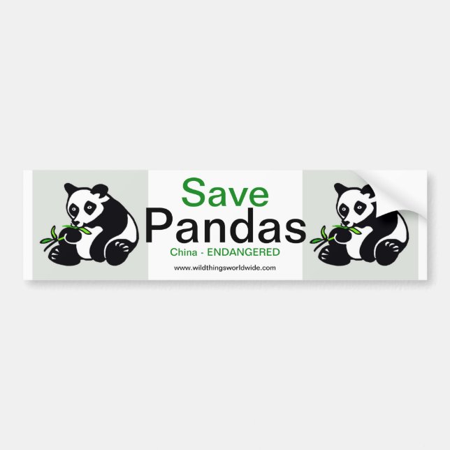 Endangered animal.Save PANDAS-  Wildlife warrior - Bumper Sticker (Front)
