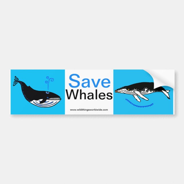 Endangered animal -  Save WHALES - Nature Bumper Sticker (Front)
